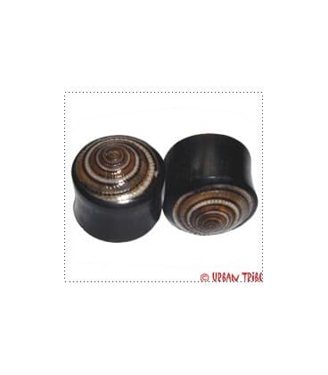 SHELL (coquillage et ébène)