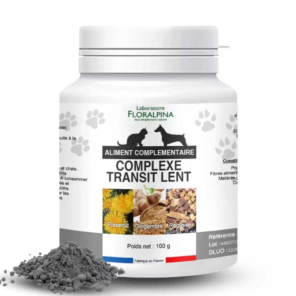 Complexe Transit Lent