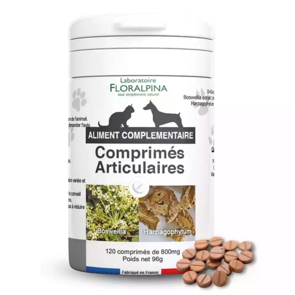 Comprimés articulaire