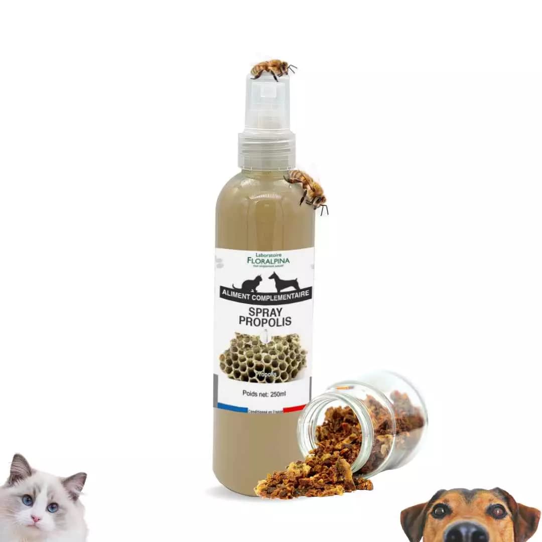 Spray Propolis