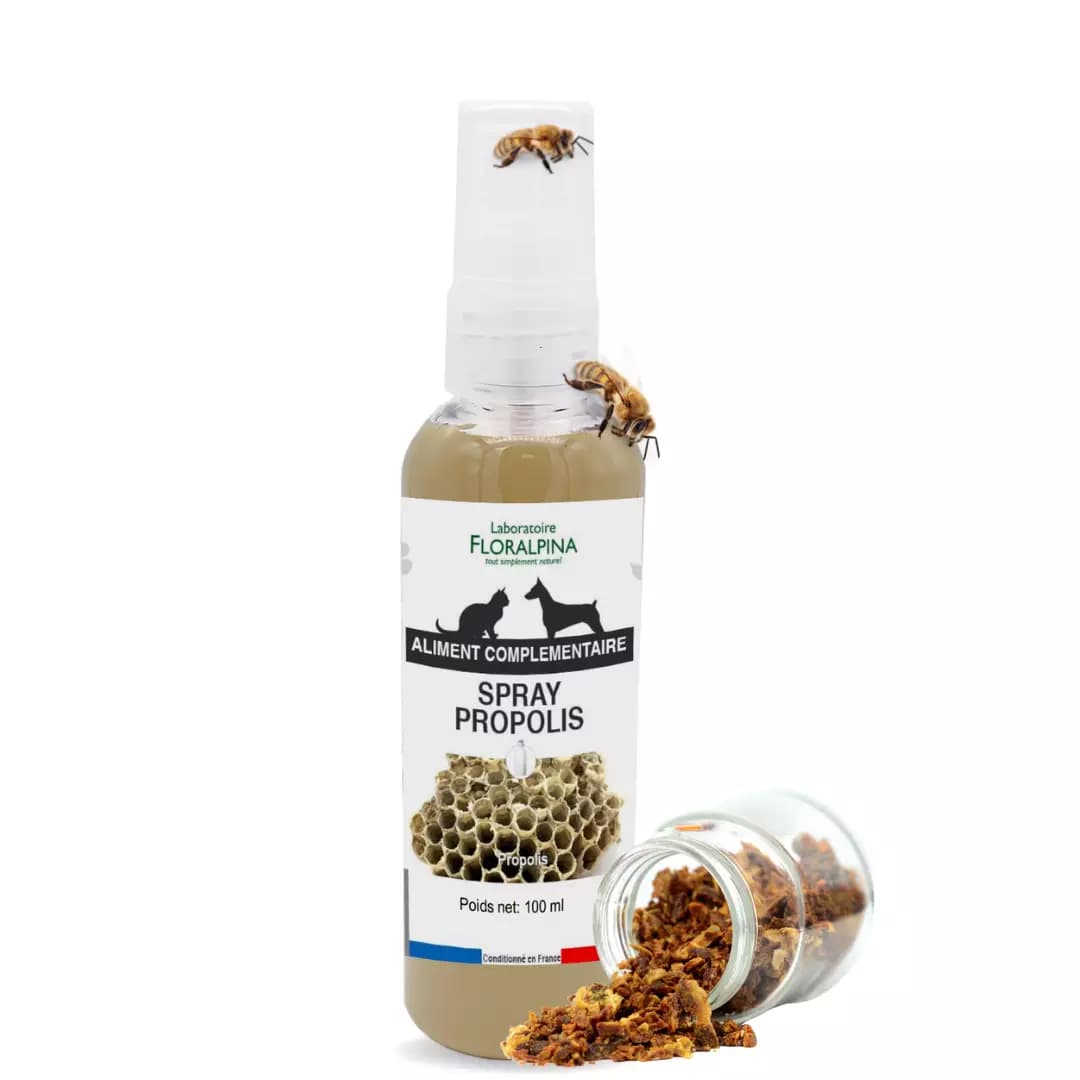 Spray Propolis