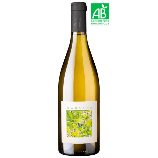 Domaine les 4 Vents - Marsana 2024