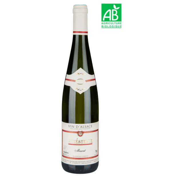 Aimé Stentz - Muscat 2023