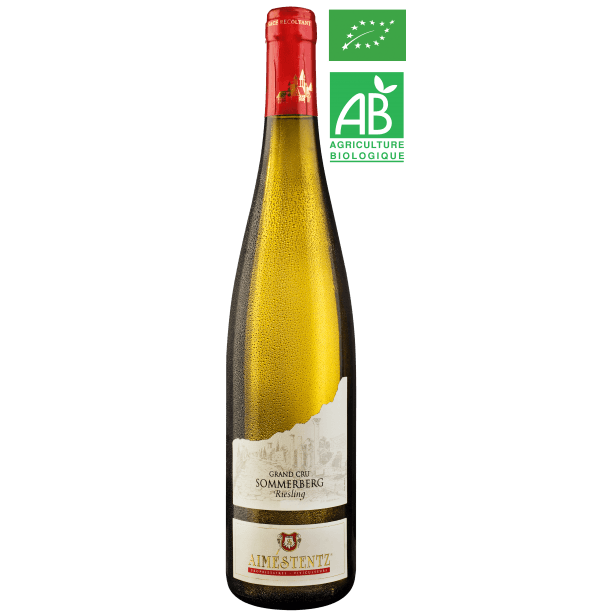 Domaine Aimé Stentz - Riesling Grand Cru Sommerberg 2019