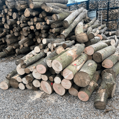Stammholz â Hartholzmix - Ganze LKW-Ladung - 15-55 cm