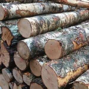 Stammholz â Birke - Ganze LKW-Ladung - 15-55 cm