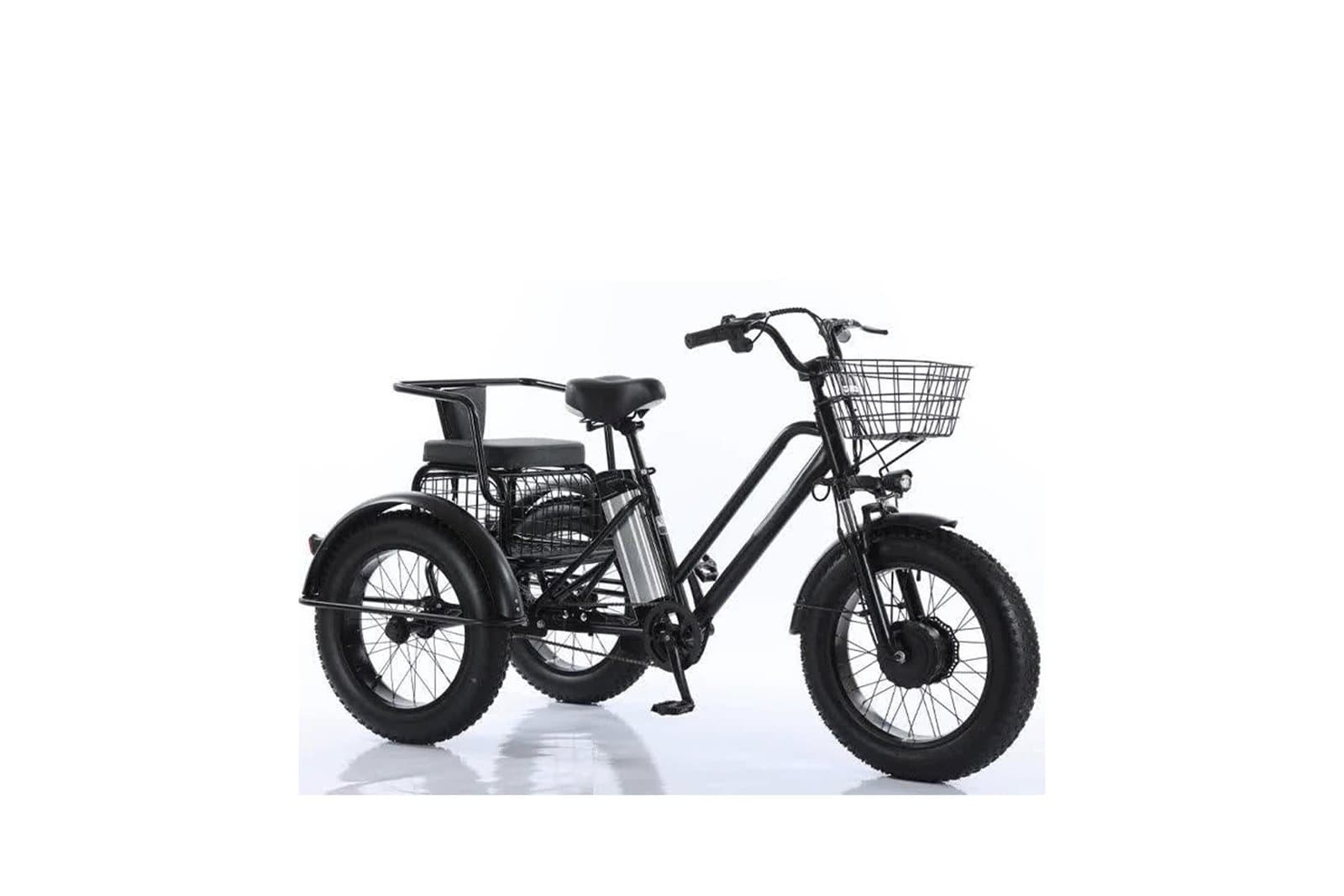 Elektro-Dreirad Fatbike Cross mit 2 SitzplĂ€tzen fĂŒr Menschen mit eingeschrĂ€nkter MobilitĂ€t, 500 Watt